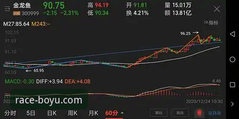 博鱼体育app安全性全面解析：从下载到使用的完整安全指南